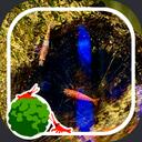 the moss ball Discord Server Icon