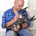 Autismo