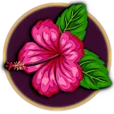 🌺Games 4 You