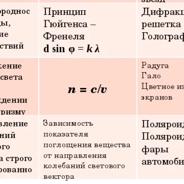 𝘿𝙖𝙞𝙡𝙮 — мониторинг Discord сервера, статистика и рейтинг