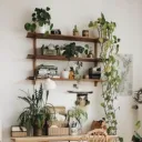 The Plant Room