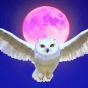 𝙰𝚔𝚊𝚜𝖍𝖆™ Discord Server Icon