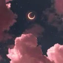 Tofutopia