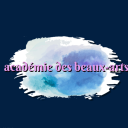 Acad&amp;eacute;mie des Beaux-Arts Server Icon