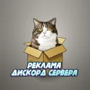 ₊˚⊹ РДС • Реклама Дискорд Сервера 🚀