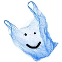 The Bagging Area