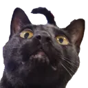 Mogenstop