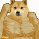 Buff Doge Coin Official
