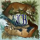 Warriors: Coastal breeze Discord Server Icon