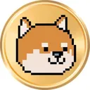 The DogePunk