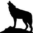 Wolves Howl