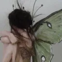 𓂃 ҂ ,, fairy valley  ⸝⸝'s icon