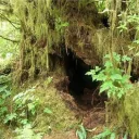 The Burrow (18+)