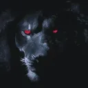 LionZ Den