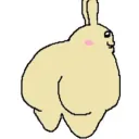 Usagi
