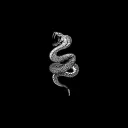 COBRA.'s Server