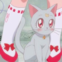 Maki Hearts