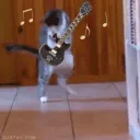 Metalheads' basement