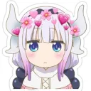 ଓ✦₊˚ Dragon girls! ‧₊୭