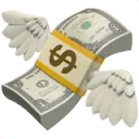 MicroAngel Community