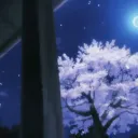 Moonlight