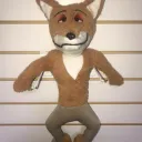 esquizo gang🦊