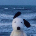 alexa’s hangout | adopt me | roblox