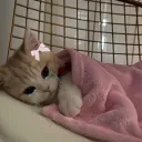 flight crew Discord Server Icon