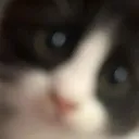 쇼핑서버