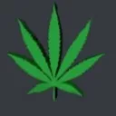 The Druggies