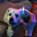 Noire’s Spot Discord Server Icon