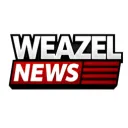 🎥 Weazel News | FlashWorld
