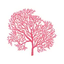 The Corals