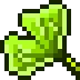 The Ginkgo Grove
