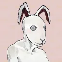 Border Rabbit