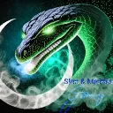 Slim and Mamba Gaming's server