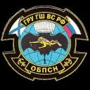 181st Special Reconnaissance Detachment