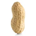 Nut Cord