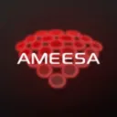 AMEESA x PARADISE