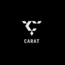 Study with Carats 📖