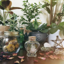 *･༓☾➷ Blossoming Realm ➷☽༓･*