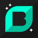 BulkyStreet