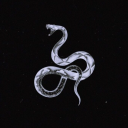 Shirohebi - discord server icon