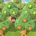 GameDev Growers