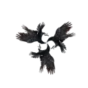 House of Three Ravens