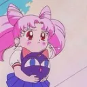 にゃぴのねどこ