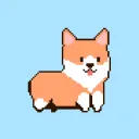Solgi Breed Club