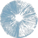 Microdosing Institute Community
