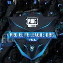PEL ORGANIZATION