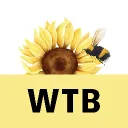 What the Buzz